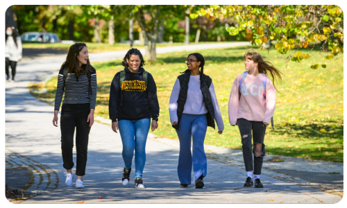 Students walking and talking on a path.