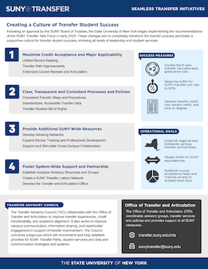 Initiatives Document Screenshot